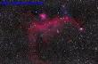 Astrophoto: The Seagull Nebula