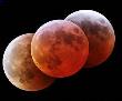Blood Red Moon Predicted